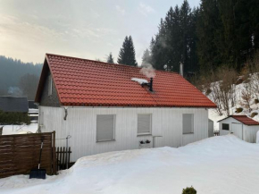 Detached holiday home with fenced garden in beautiful Thuringia